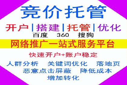 行业领先SEM托管代运营案例